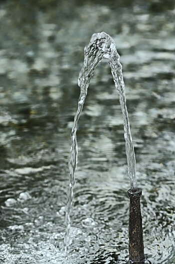 DSC_8984.f.jpg
