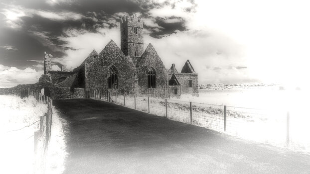 Ross Errilly Friary (22)_IR_2019_DxO.jpg