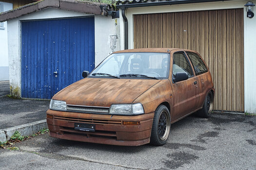 DSC05634.f.jpg