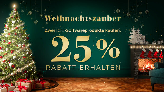 HeroIllustration-HolidaySeason-December2024-DE.jpg