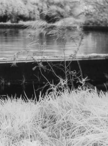 ir.jpg