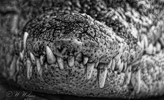 DSC_1032_DxO_DxO_DxO.jpg