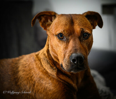 20241220 - unbenannt-4.jpg