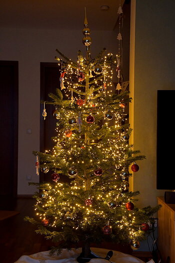 WRU_4661_900.JPG