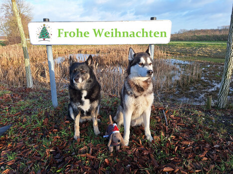 Weihnachten 2024 02-001.jpg