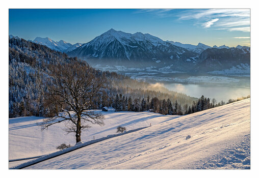 20241225 161856 NIKON Z f 37 mm 1-320 Sek. bei f - 9.0 ISO 100 NF.jpg