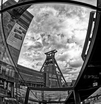 _DSC5320_DxO_DxO.jpg
