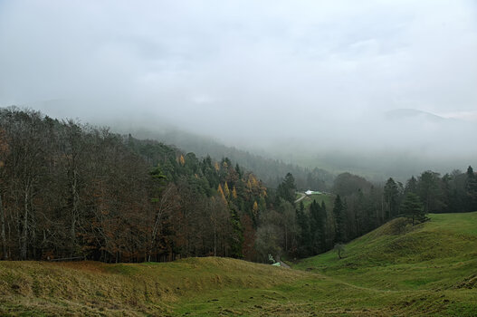 DSC_0208.f.jpg