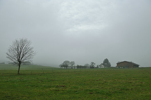 DSC_0210.f.jpg