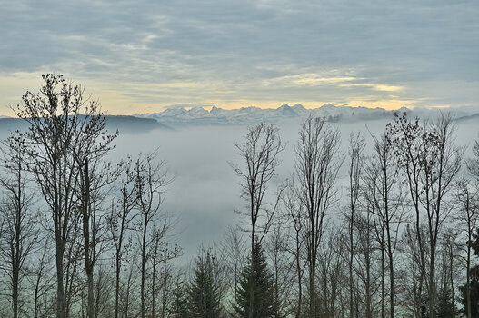 DSC_0214.f.jpg