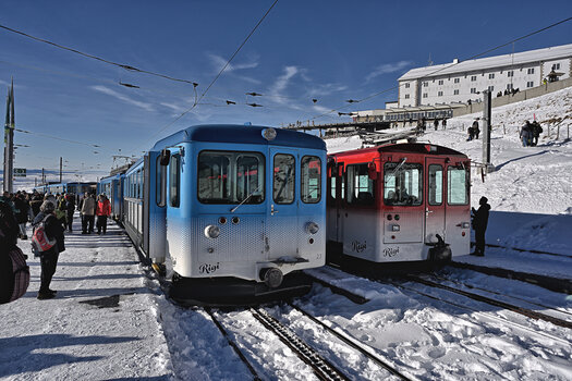 DSC_5564.f.jpg