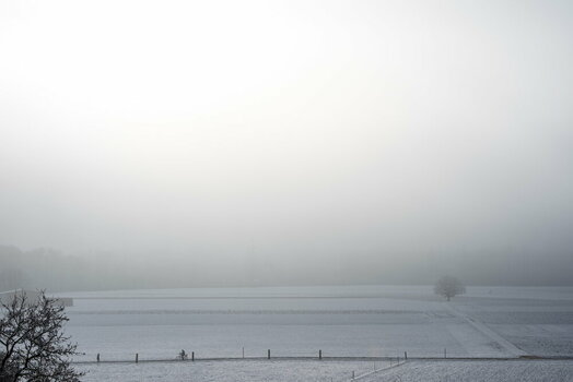 Z63_0448-Verbessert-RR.jpeg
