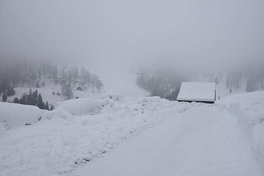DSC_5973.f.jpg