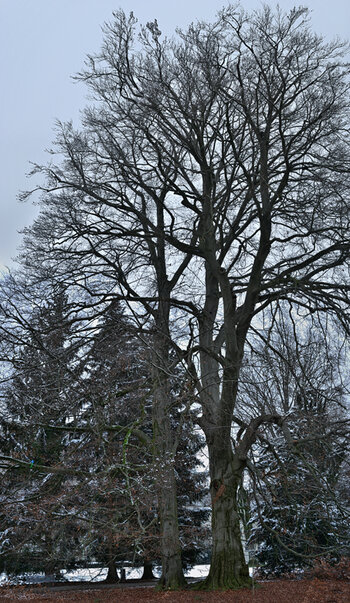 Neues Panorama 1.f.jpg