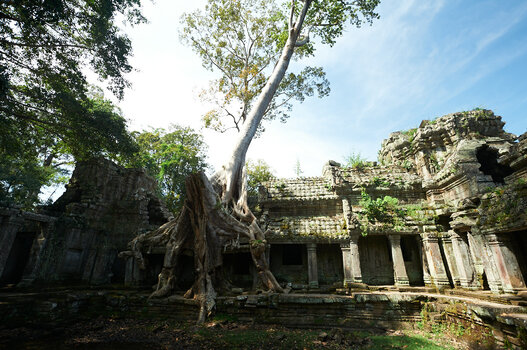 D7N_4575.jpg D7N_4575.jpg