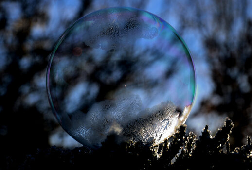 DSC_0005.JPG