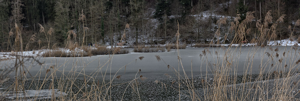 Neues Panorama 5.f.jpg