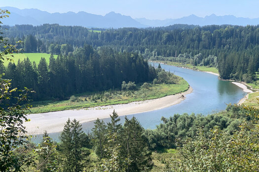 20240830-110348.jpg