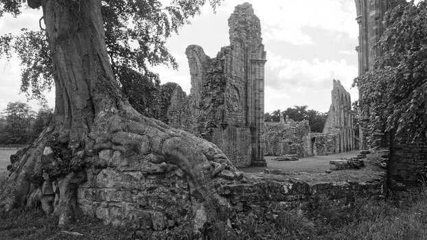 Bayham Old Abbey (3)_BW_DxO.jpg