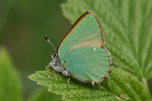DSC_0060.jpg
