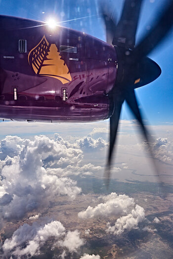 D7N_4060.jpg