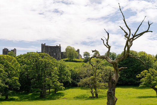 Llanstefan-Castle(3)_DxO.jpg