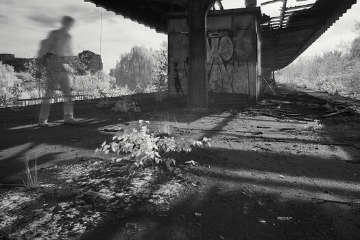 D8B_0448.jpg