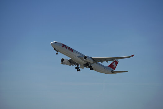 DSC_7437.fg.jpg