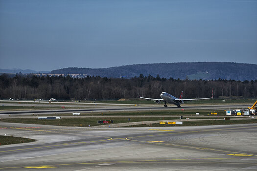 DSC_7433.v2.jpg