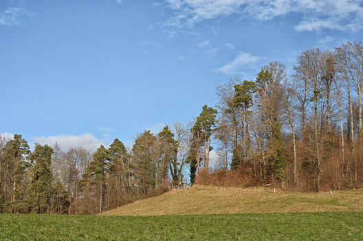 DSC_5697.f.jpg DSC_5697.f.jpg
