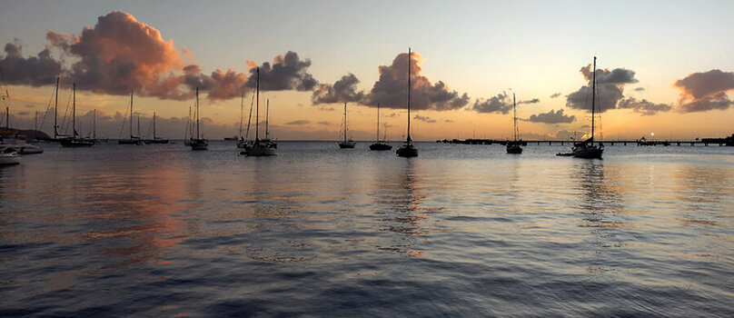IMG_20230121_175528.jpg