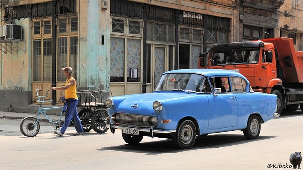 s242_Opel_4489.jpg