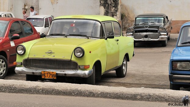 sw220_Opel_4176.jpg
