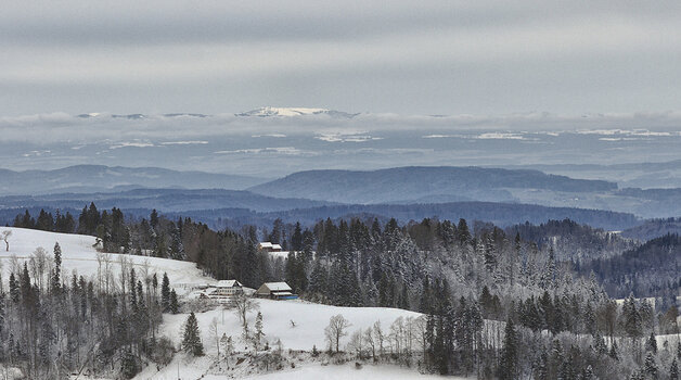 _DSC6067.f.jpg