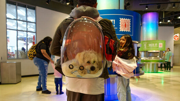 ATL_CC (12)_2024_DxO.jpg