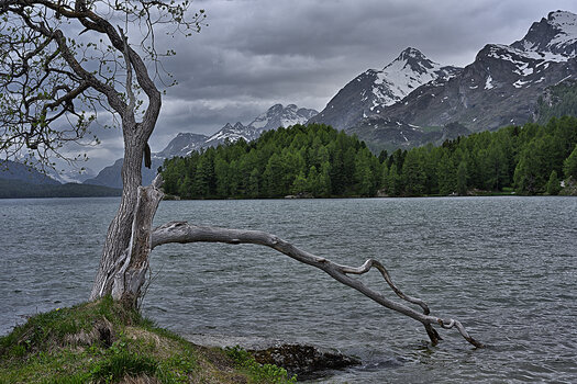 DSC_9876.f.jpg
