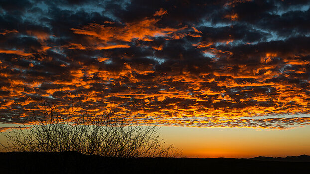 DSC_3420-NEF-DxO_DeepPRIME XD2.jpg