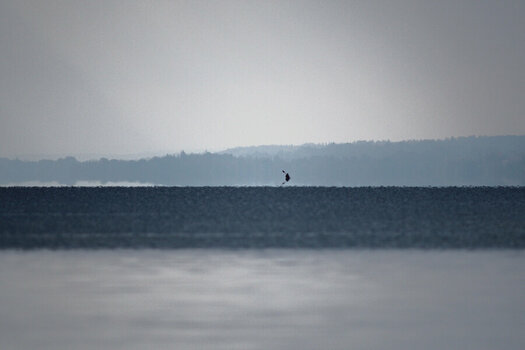 DSC_0924_01.JPG