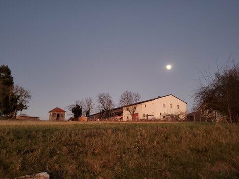 20250112_172325.jpeg