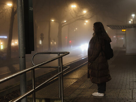 013_FoggyDay_15-01-2025_900px.jpg