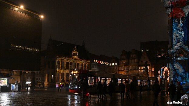 s250114_1800_Bremen_3231_9734.jpg
