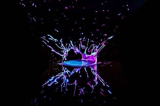 20241226-creamsplash_030 Kopie.jpg