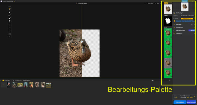 Matting-3.jpg