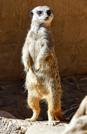 DSC_2985_DxO.jpg