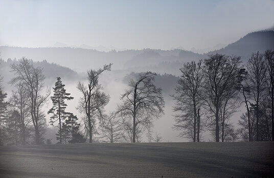 DSC_2771.f.jpg