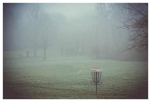 xYellow and Fog (1 von 1).jpg