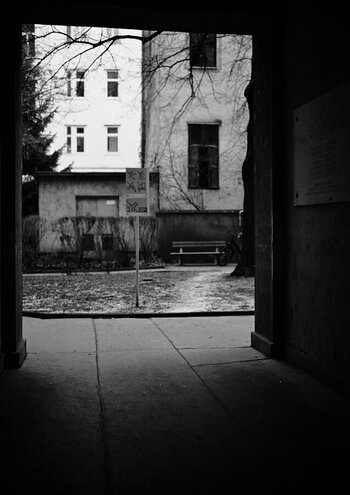 ZGF_9781_01.JPG