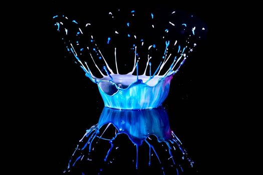 20241226-creamsplash_012 Kopie.jpg