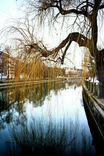ZGF_9961_01.JPG