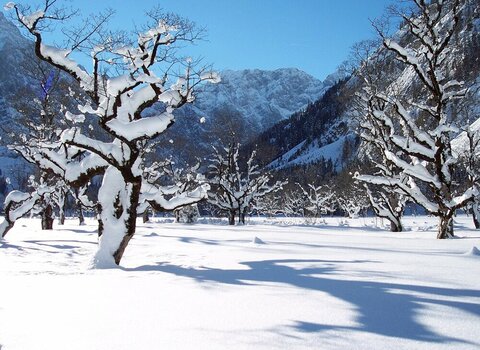 Ahornboden im Winter .jpg